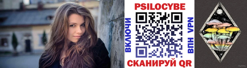 Псилоцибиновые грибы Psilocybe  Купить где  Карачаевск 